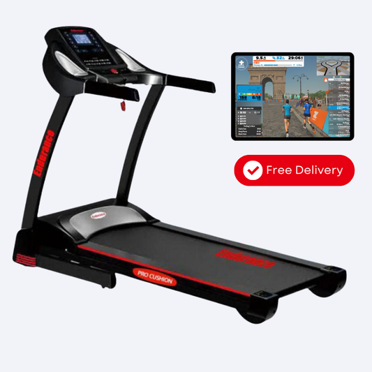 Endurance SPT Treadmill with monitor and free delivery